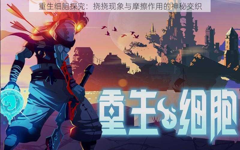 重生细胞探究:挠挠现象与摩擦作用的神秘交织