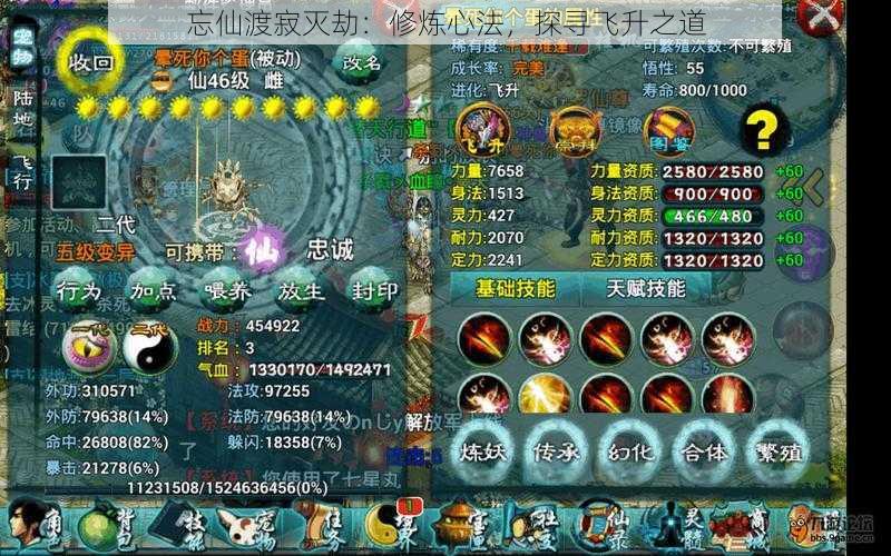 忘仙渡寂灭劫:修炼心法,探寻飞升之道
