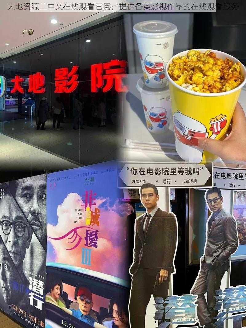 大地资源二中文在线观看官网,提供各类影视作品的在线观看服务