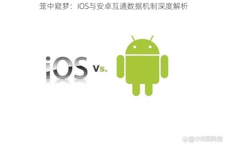 笼中窥梦:IOS与安卓互通数据机制深度解析