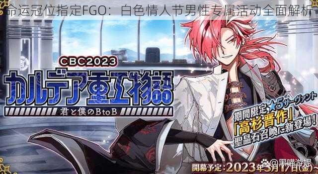 命运冠位指定FGO:白色情人节男性专属活动全面解析