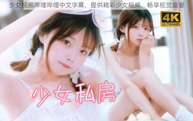 少女视频哔哩哔哩中文字幕,提供精彩少女视频,畅享视觉盛宴