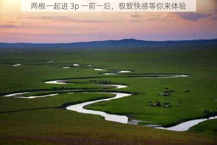 两根一起进 3p 一前一后,极致快感等你来体验