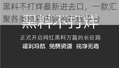 黑料不打烊最新进去口,一款汇聚各类精彩内容的在线平台