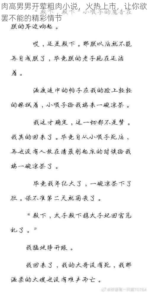 肉高男男开荤粗肉小说,火热上市,让你欲罢不能的精彩情节