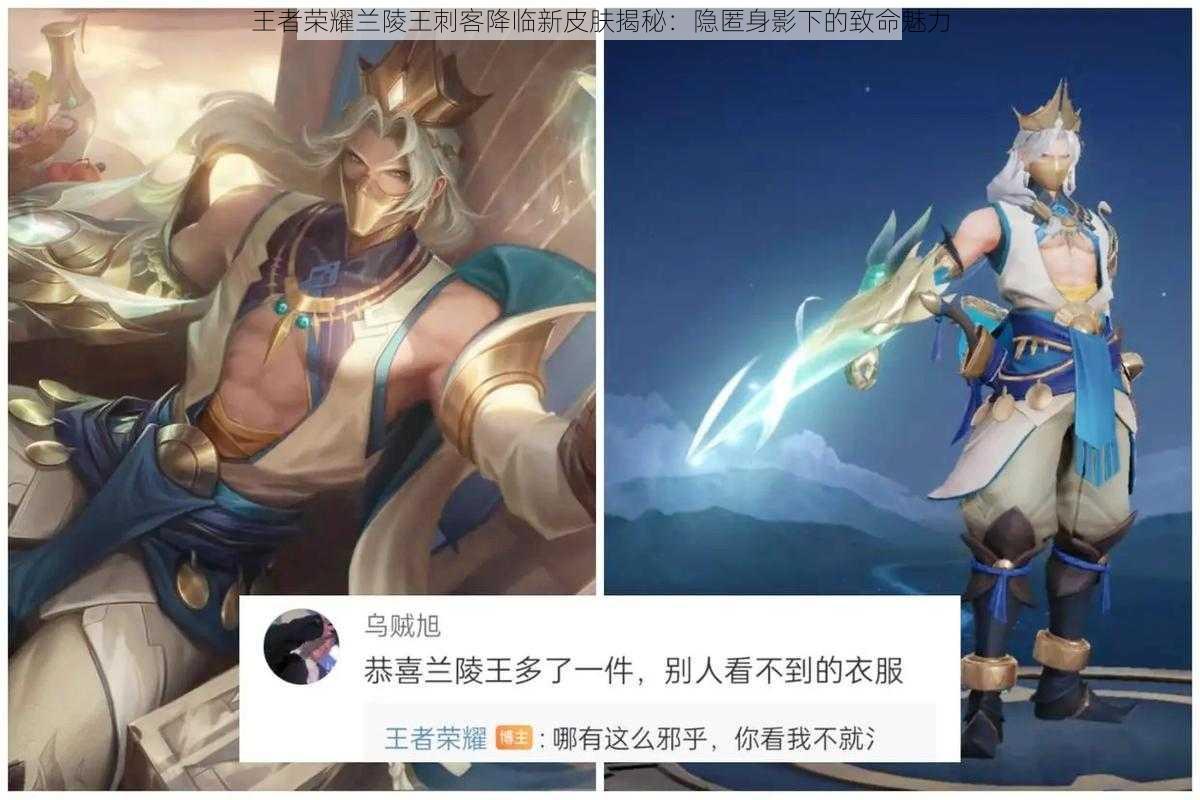 王者荣耀兰陵王刺客降临新皮肤揭秘:隐匿身影下的致命魅力