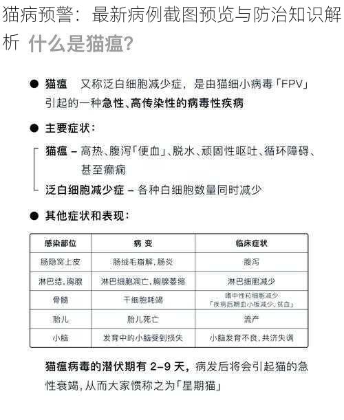 猫病预警:最新病例截图预览与防治知识解析