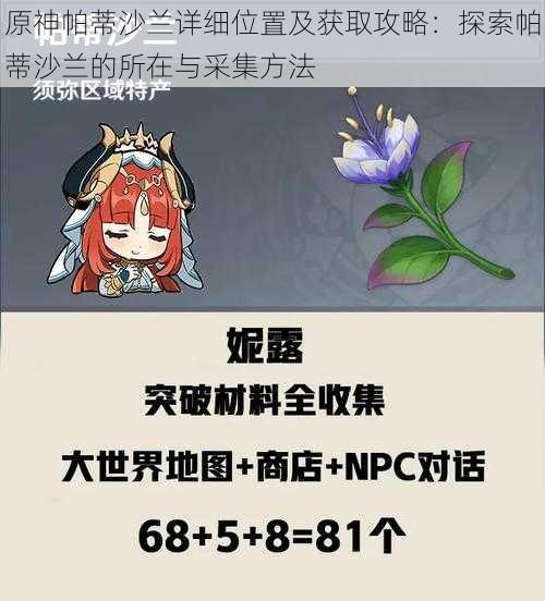 原神帕蒂沙兰详细位置及获取攻略:探索帕蒂沙兰的所在与采集方法